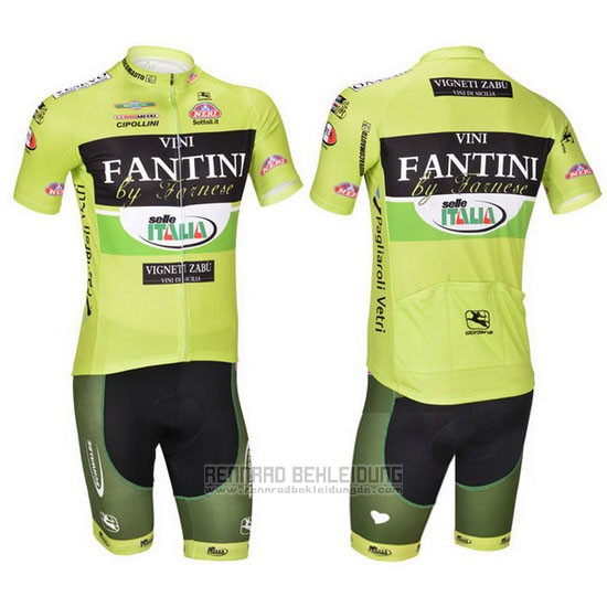 2013 Fahrradbekleidung Vini Fantini Grun und Shwarz Trikot Kurzarm und Tragerhose